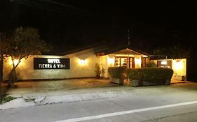 Tierra Y Vino Al Lado Del Casino Y Museo Tu Mejor Opcion